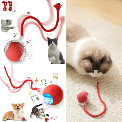 Ideal para tu Mascota: Pelota Inteligente smart