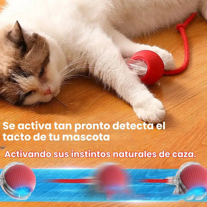 Ideal para tu Mascota: Pelota Inteligente smart
